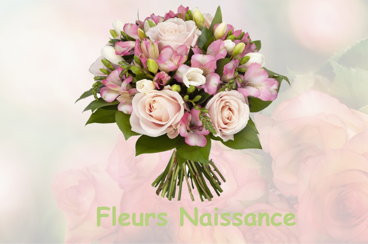 fleurs naissance ASSAIS-LES-JUMEAUX